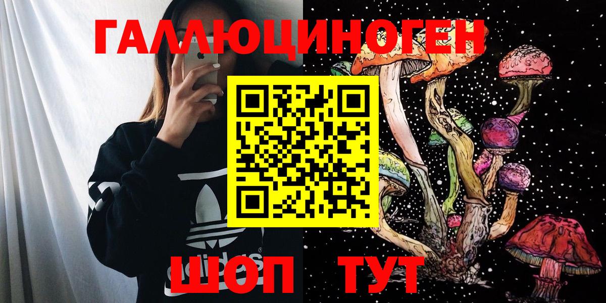 Псилоцибиновые грибы ЛСД  Вход с VPN  Сызрань  Псилоцибиновые грибы Psilocybine cubensis 
