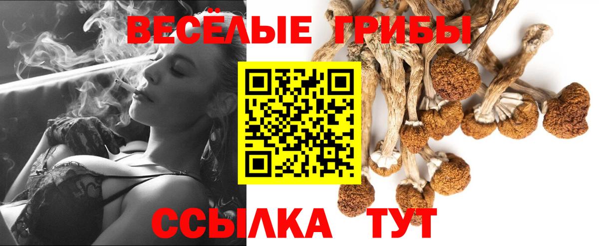 Псилоцибиновые грибы Psilocybine cubensis Сызрань